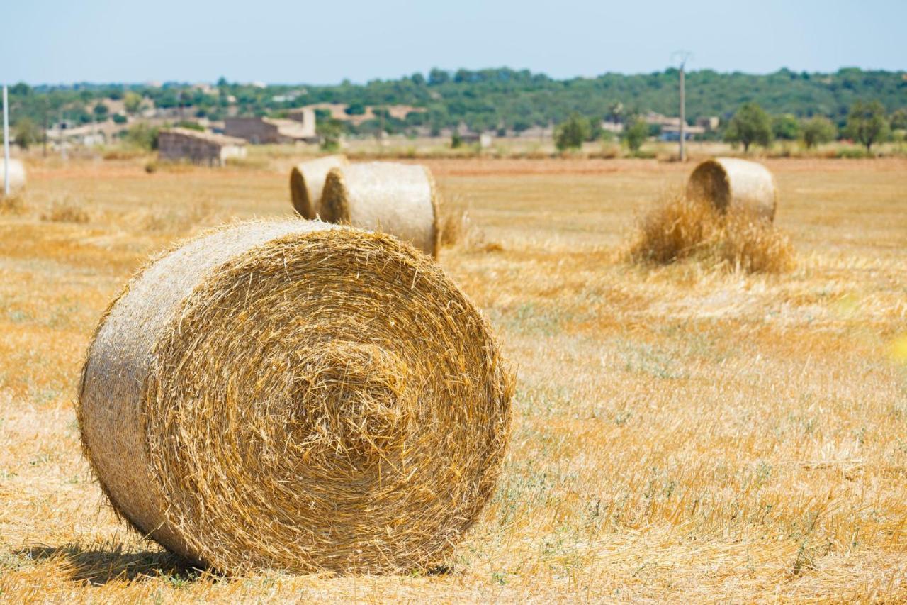 Сasa de vacaciones Terra Nostra 147 By Mallorca Charme Muro